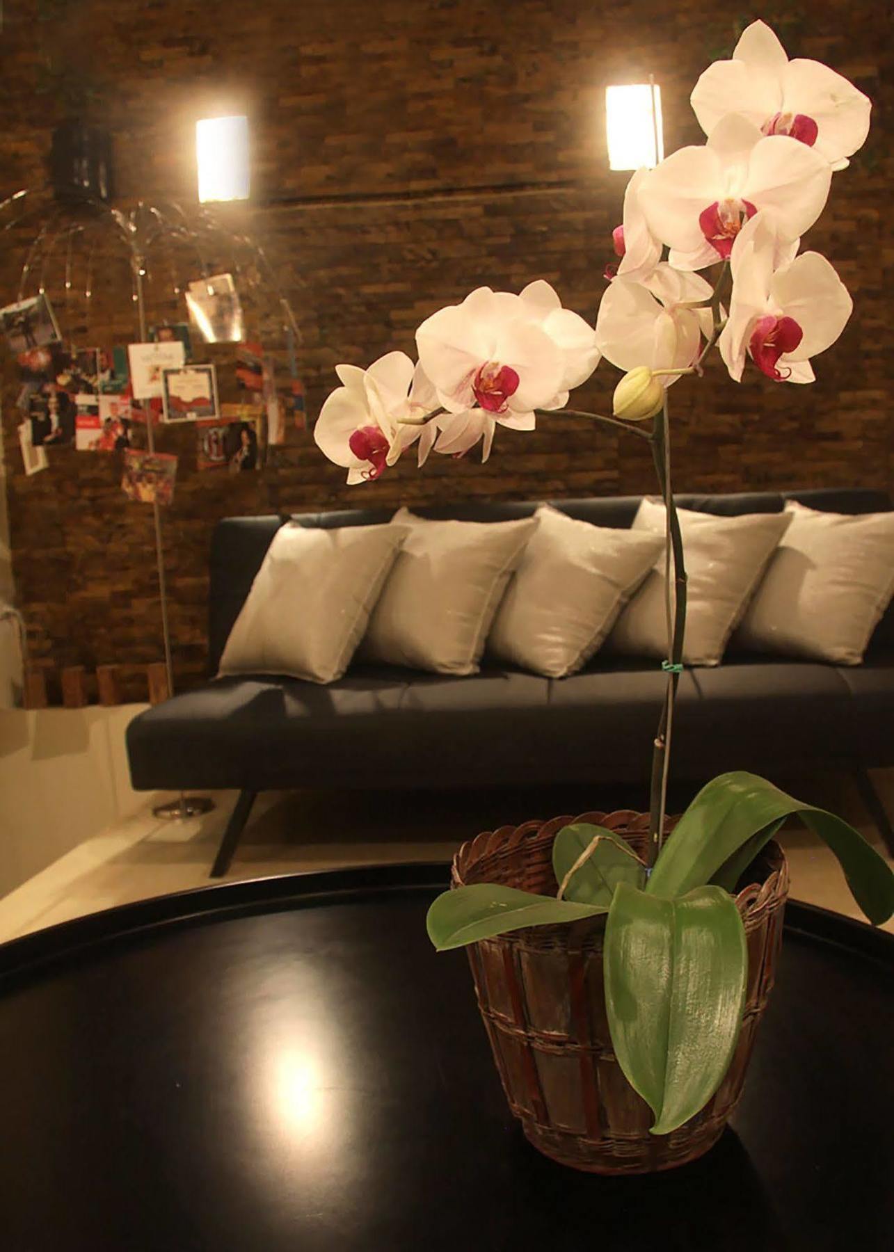 6 Suites Hotel Bogotá Eksteriør billede